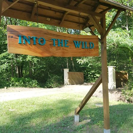 Into The Wild - Nos 5 Logements "Atypiques" Belin-Beliet Buitenkant foto